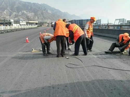 栾川道路桥梁病害治理